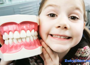 Вы хотите знать о прикусе зубов: откровения опытного стоматолога