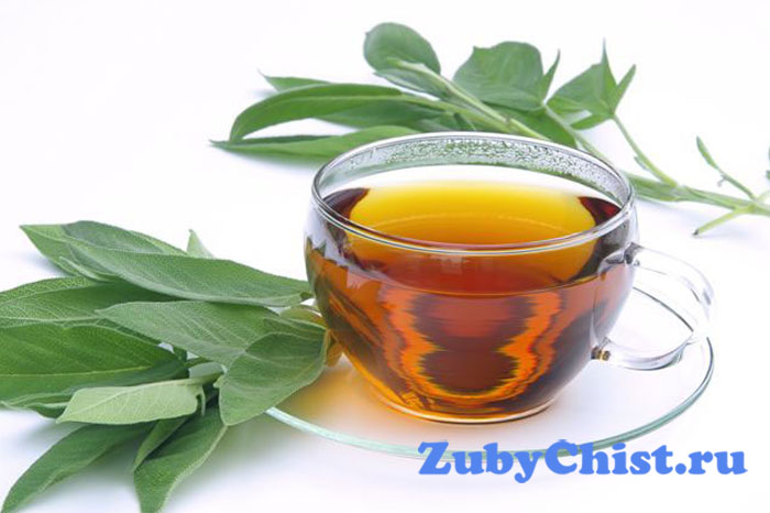 Настой шалфея при пульпите