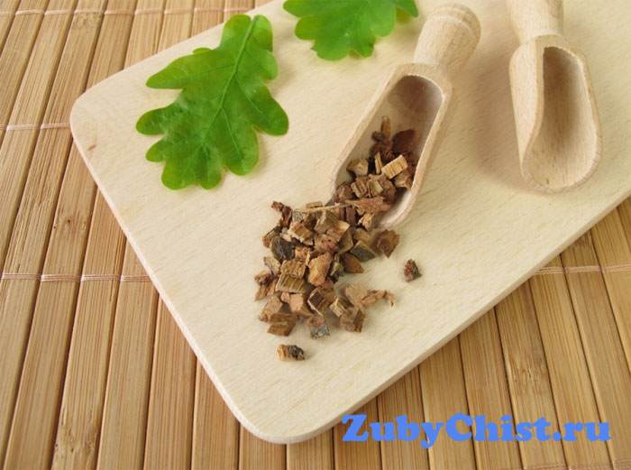 кора дуба для настойки