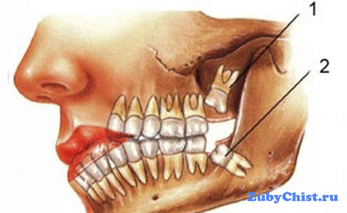 Расположение